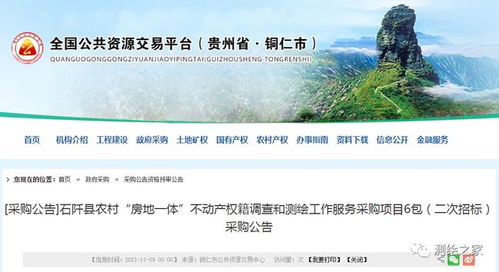 关于1980万元农村房地一体不动产权籍调查和测绘工作服务采购项目（6包）二次招标采购公告的解读